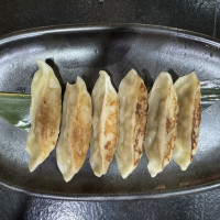 Gyoza Estilo japonés